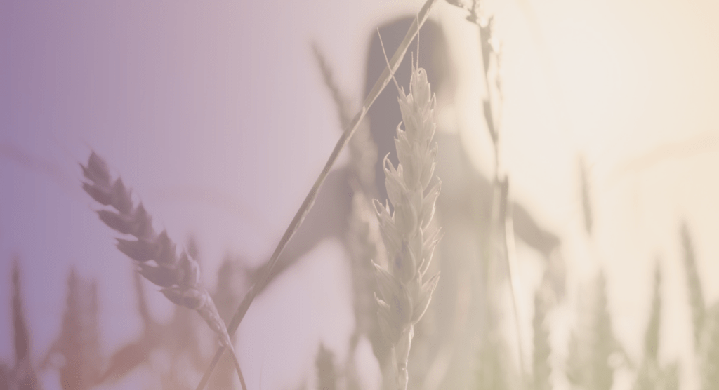 Eine Frau nach ihrer Spinal Energetics Behandlung im Weizenfeld